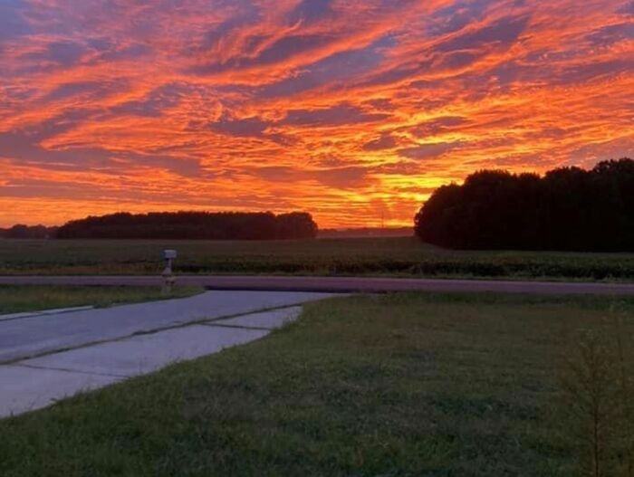 732 Jimmy Fisk Rd - Photo 4 of 4