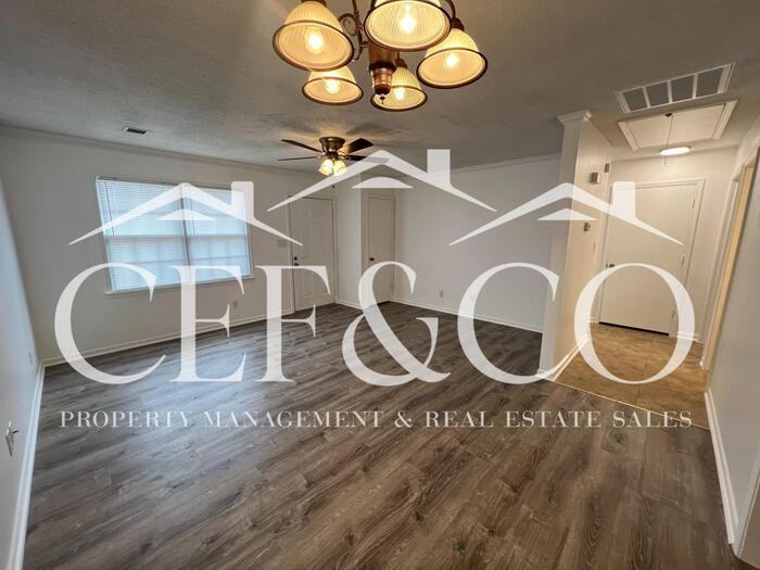 231 Shoally Park Ct - Photo 3 of 13