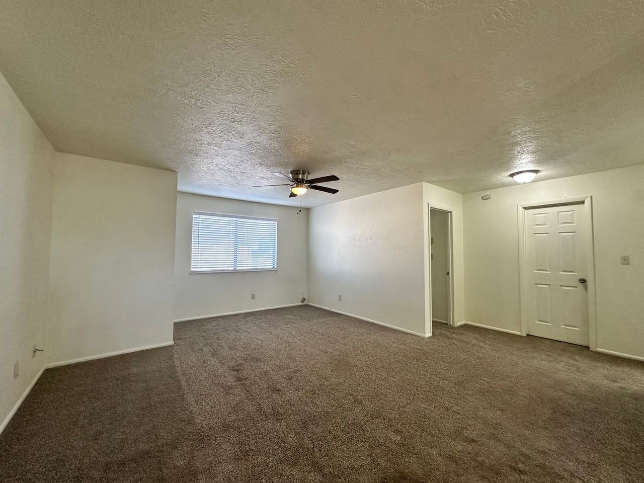 377 N Wood Cir - Photo 3 of 21