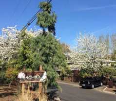 Raleigh Apartments - Photo 1 of 1