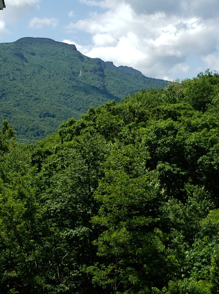 175 Hawks Peak Ln - Photo 2 of 13