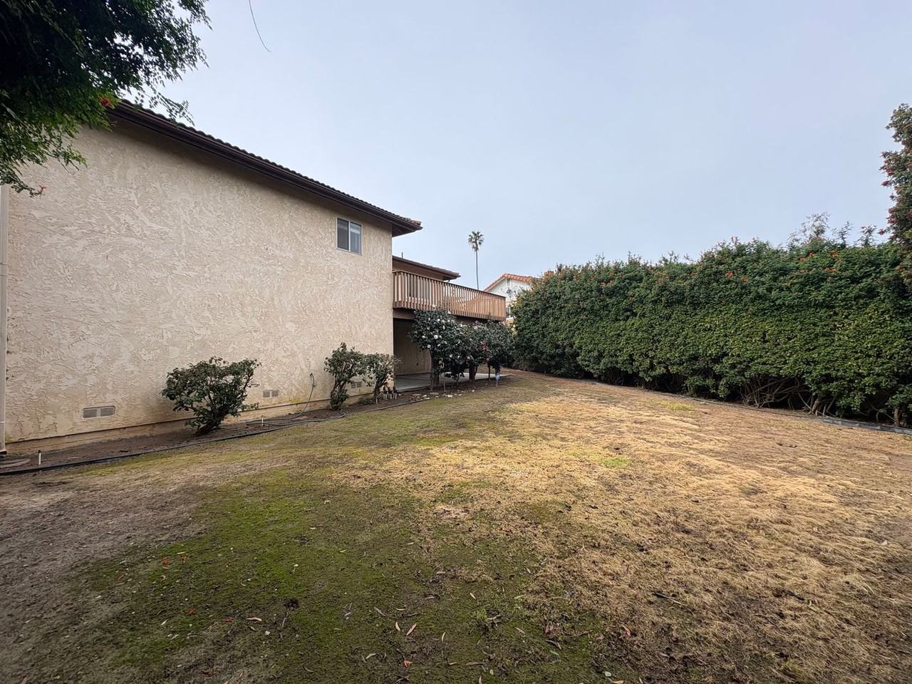 1229 Sandra Cir - Photo 6 of 34