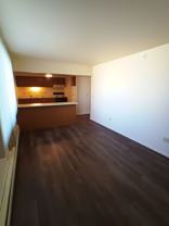 Fleur de Lis - Photo 1 of 1