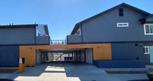 Donax - Photo 1 of 1