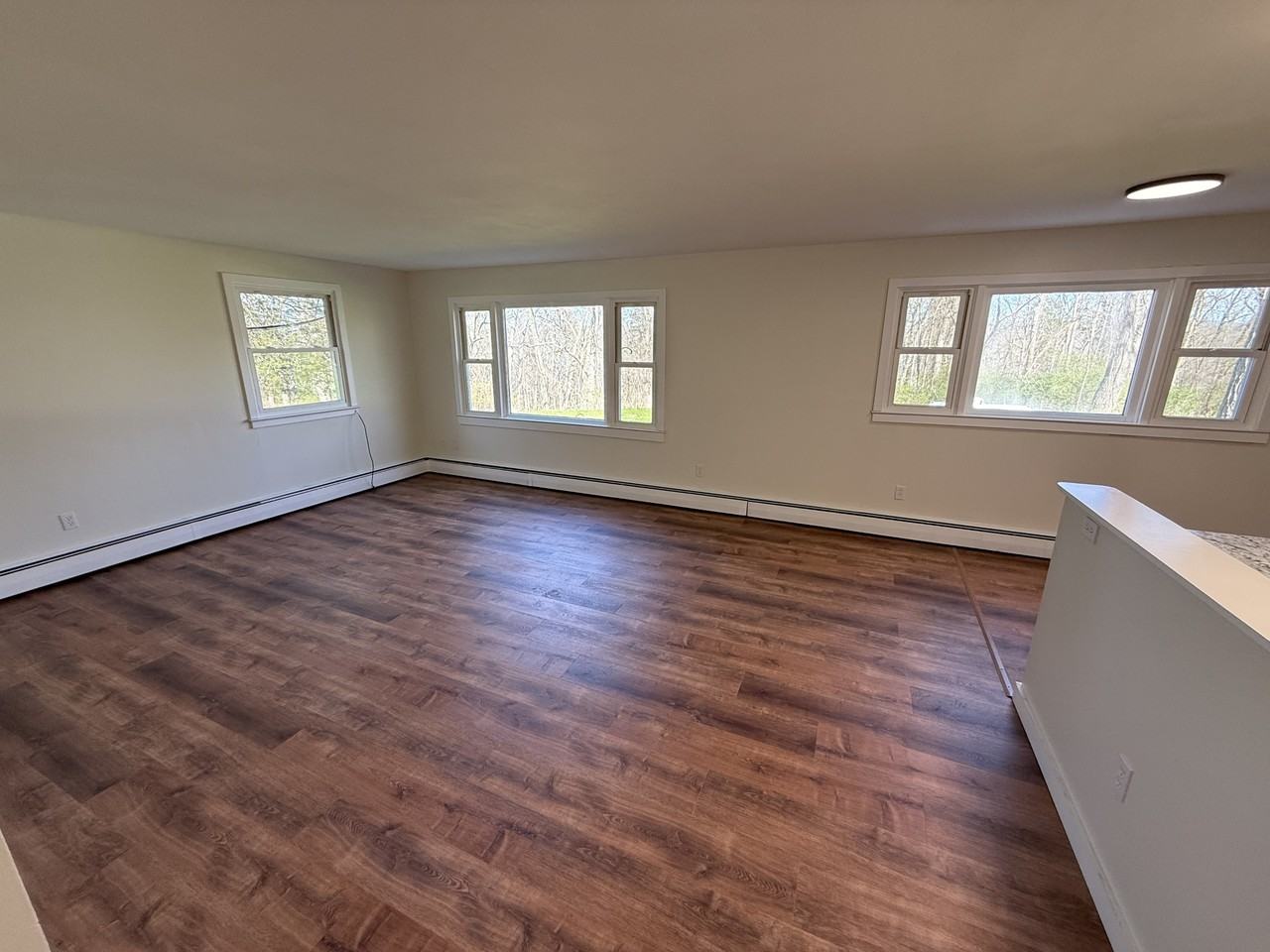 158 Indian Creek Rd #4 - Photo 4 of 7