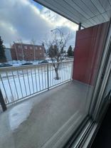 13516 - 13516 102 St #205 - Photo 1 of 1