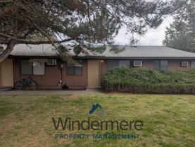 puff1036 - Photo 1 of 1