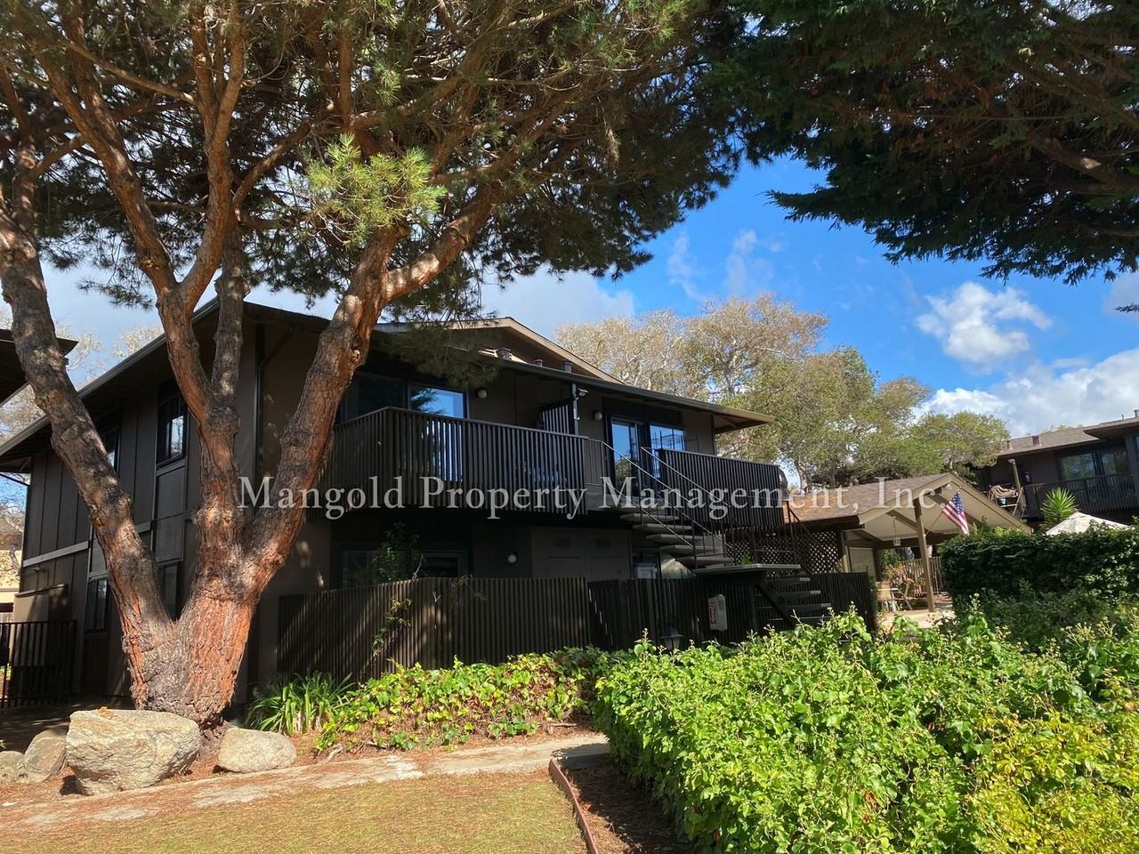 456dela - Photo 6 of 27