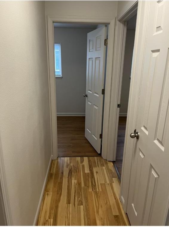 3308 Maple St - Photo 6 of 11