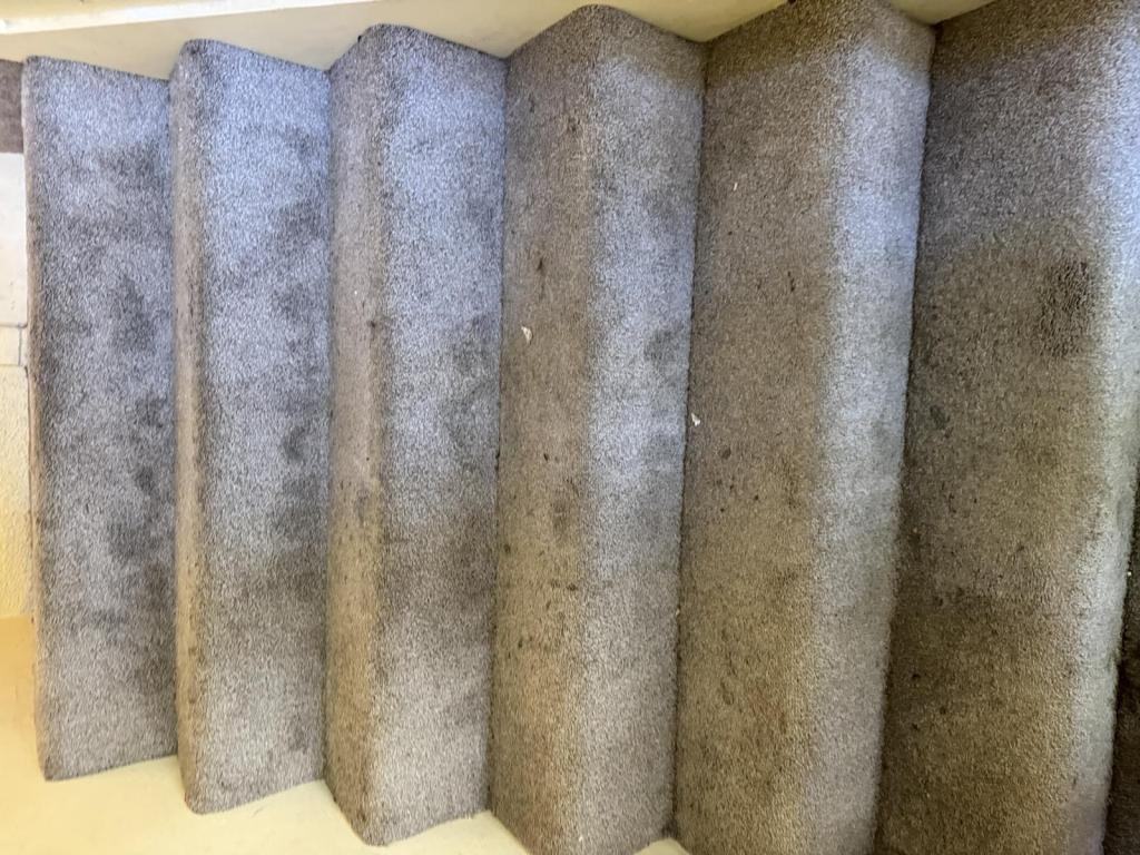 2129 Green St #2ndFL - Photo 2 of 14