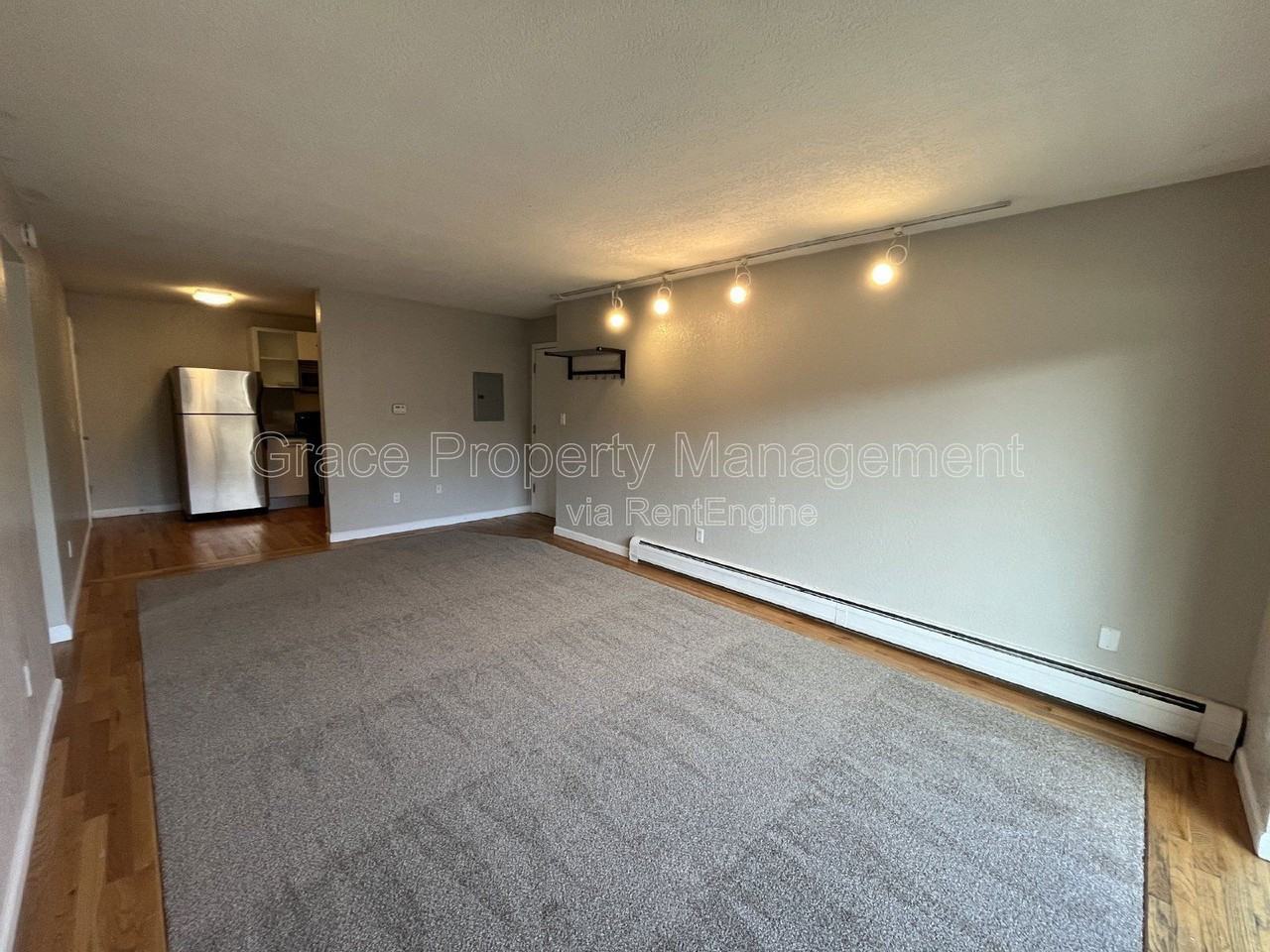 1045 N Clarkson St #202 - Photo 4 of 13