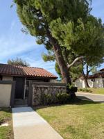 featured image of WALNUT SQUARE AVENUE