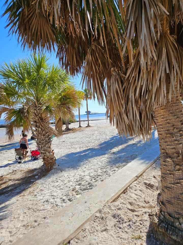 1100 N Shore Dr Ne - Photo 4 of 28