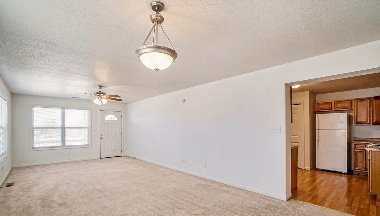 914 Jackalope Ct - Photo 4 of 21