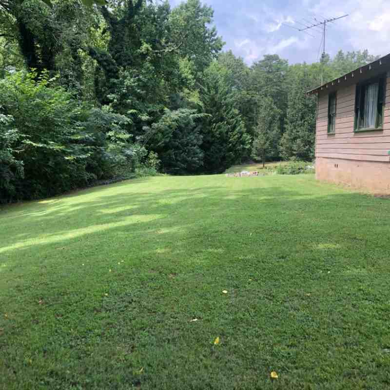 864 Jesstown Ln - Photo 5 of 7