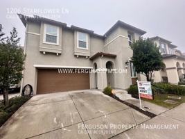 featured image of 1206 Starflower Ln