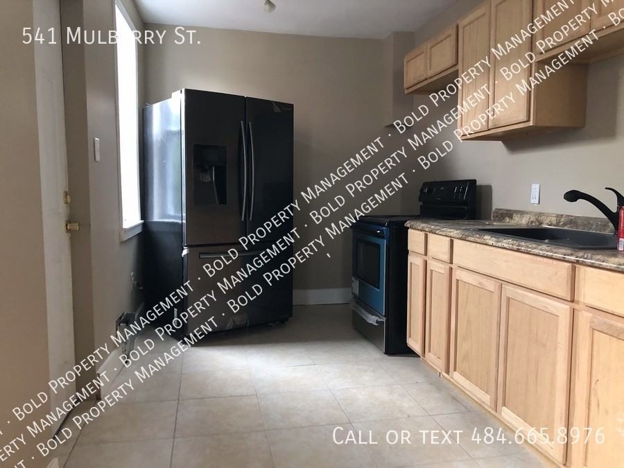 541 Mulberry St - Photo 4 of 9