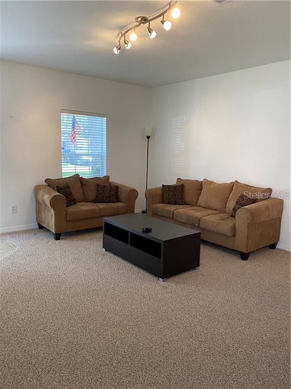 15770 Fishhawk Falls Dr #15770 - Photo 5 of 12