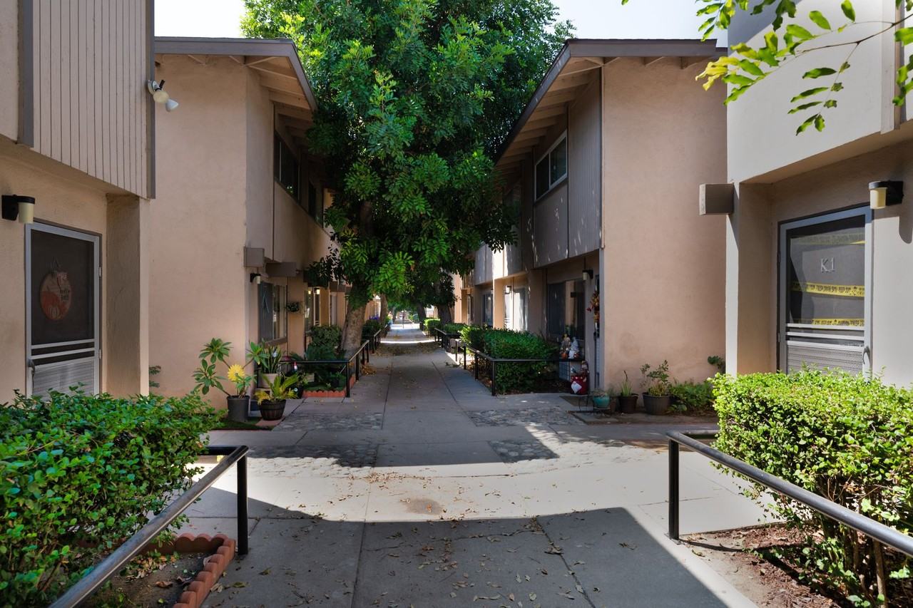 800Azus - Photo 2 of 27