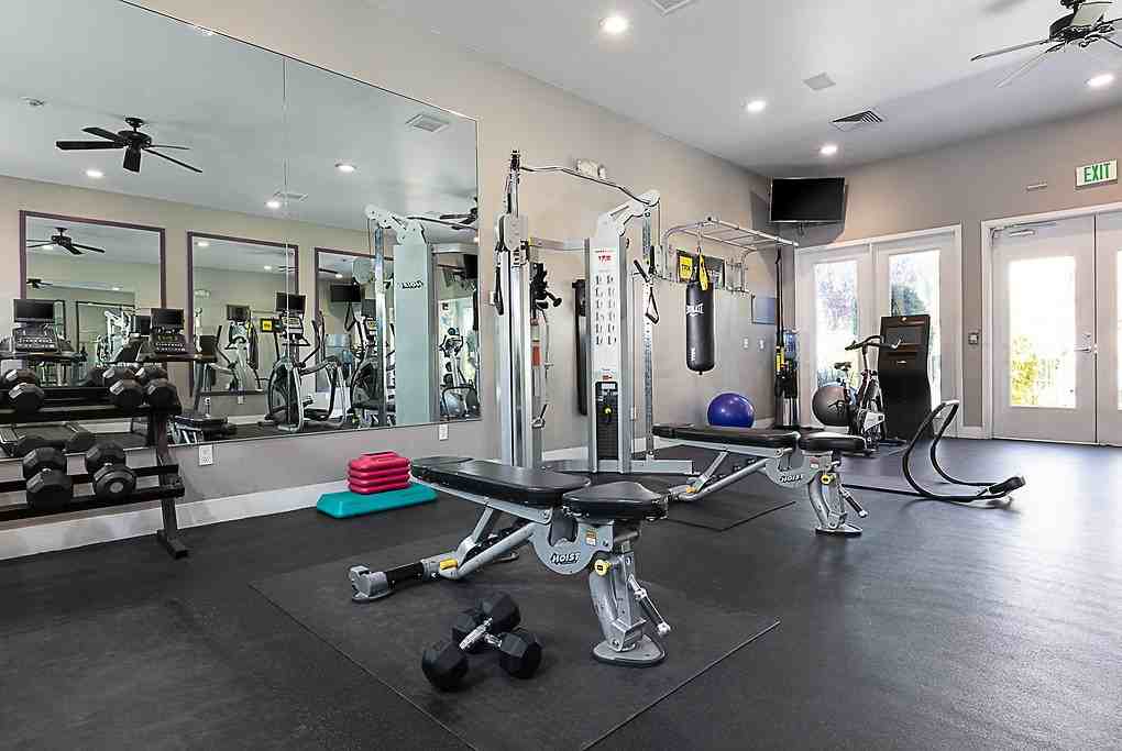 The Esplanade - Photo 5 of 51