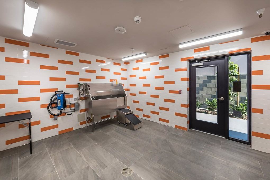 Vela on Ox - Photo 7 of 50