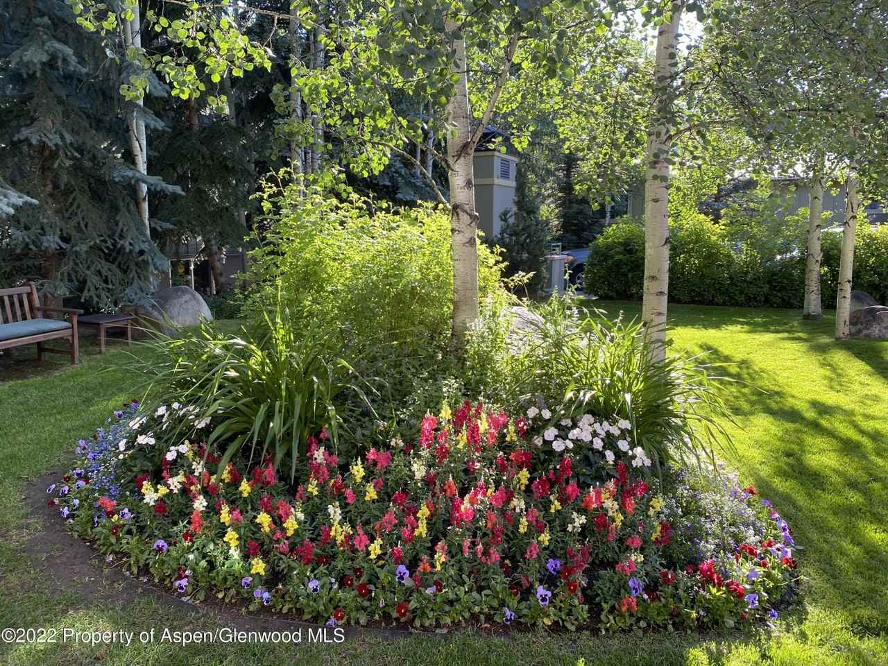 1035 E Durant Ave #4 - Photo 2 of 26