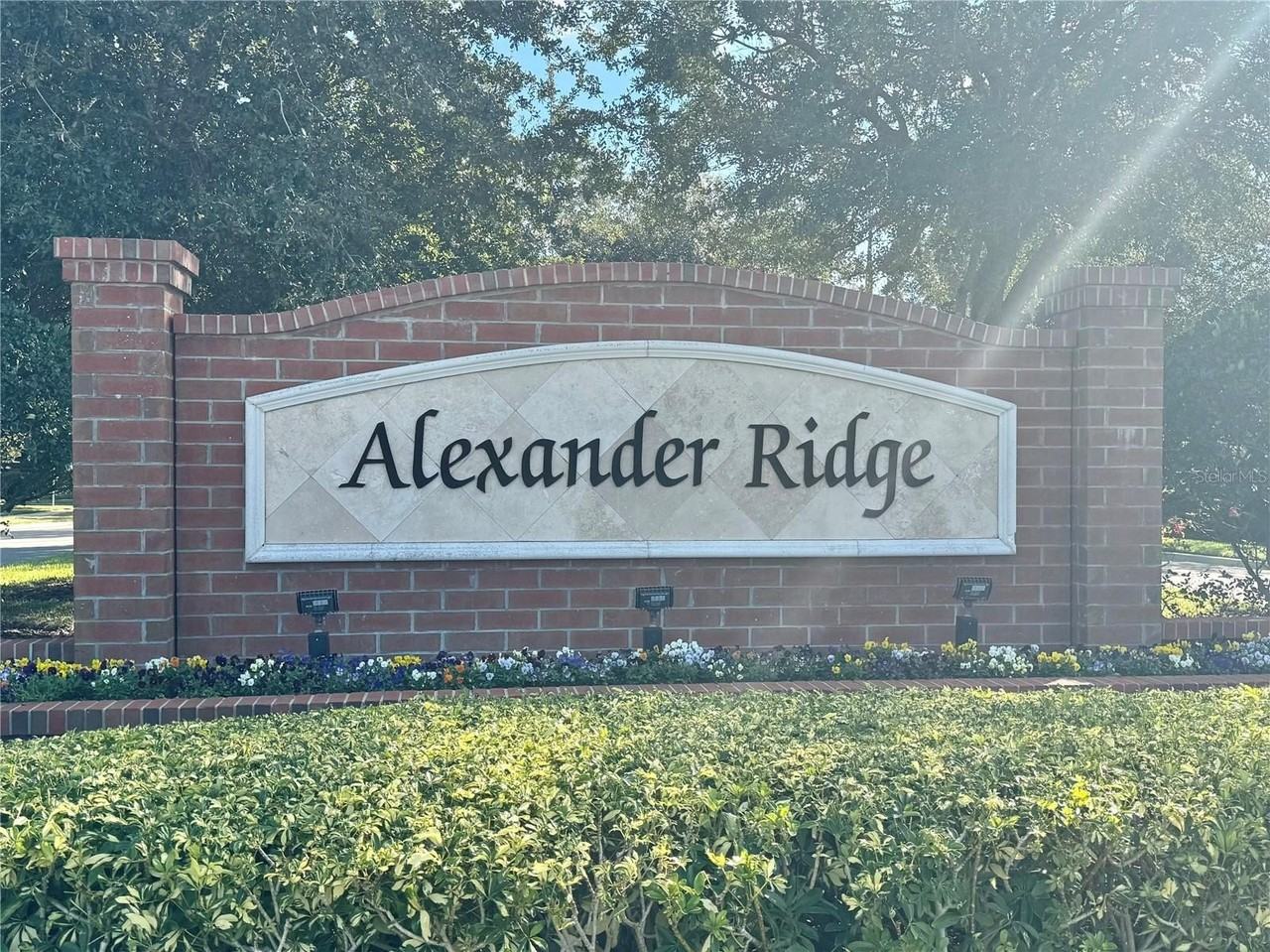 2262 Romanum Dr - Photo 4 of 49