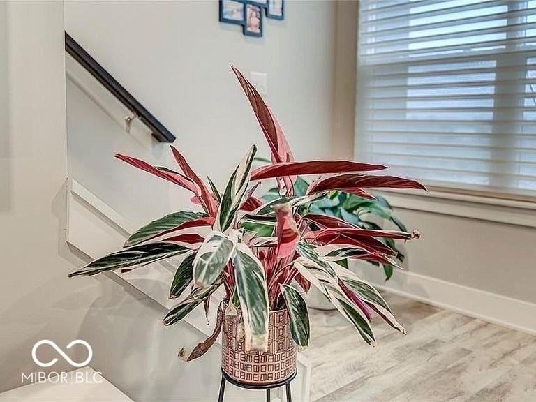 2579 Filson St - Photo 3 of 17