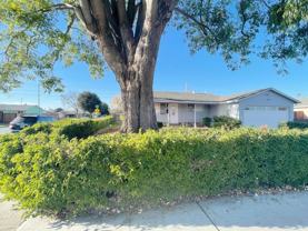 4879 Boone Dr - Photo 1 of 1