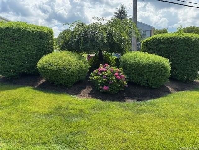 12 Winchester Avenue unit: Dm #DM - Photo 7 of 8