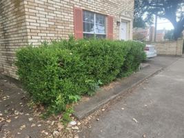 featured image of 106 Austin Stone Dr