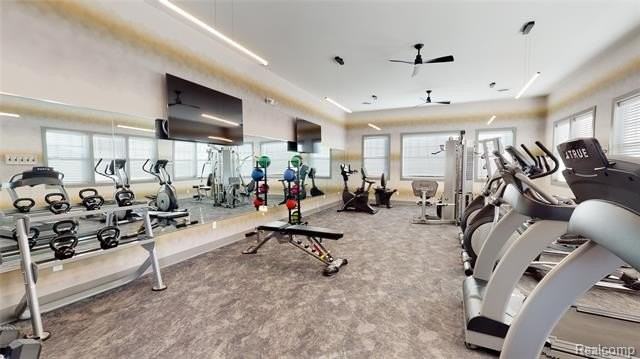 4000 Insignia Ln #4 - Photo 4 of 15