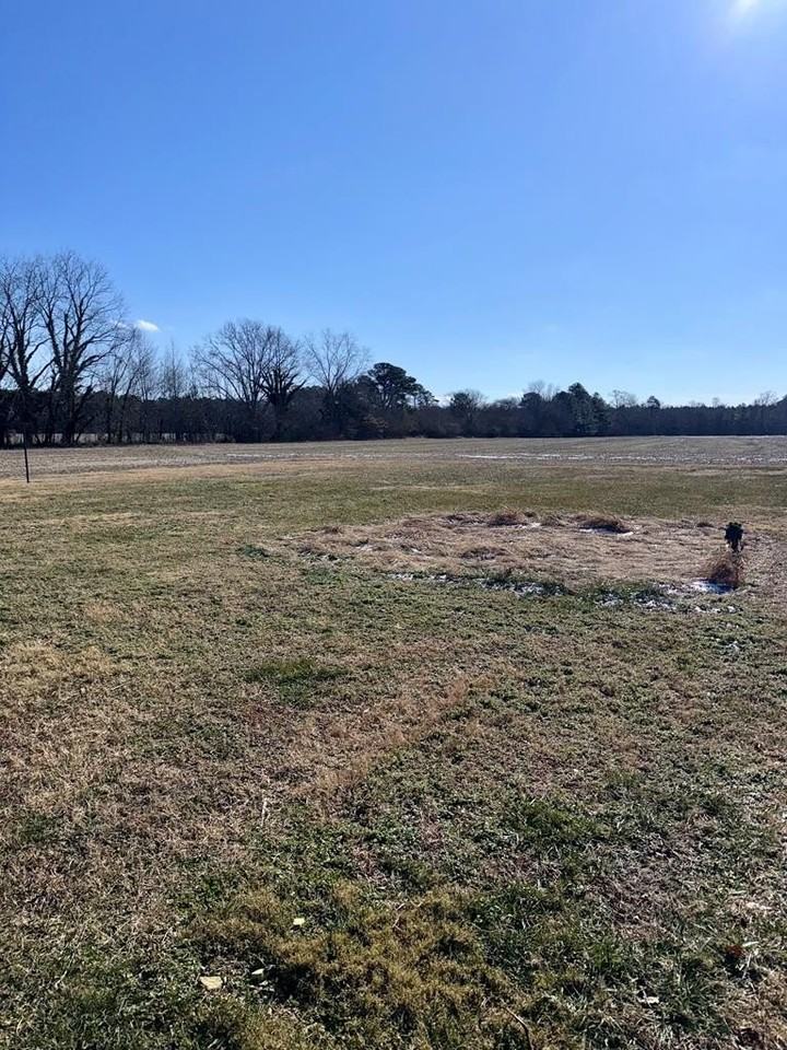 25529 Pennsylvania Ave - Photo 5 of 20