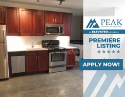 featured image of 219 E Bank St #101