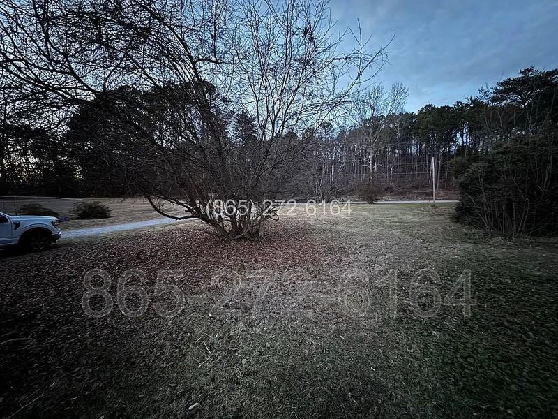 8413 Oak Ridge Hwy - Photo 4 of 9