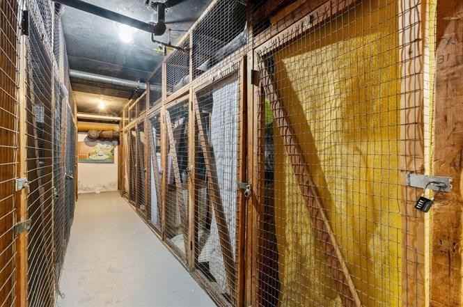 29 Concord Ave - Photo 4 of 18