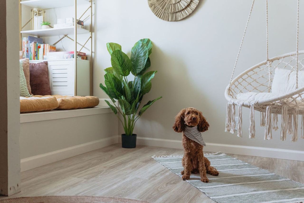 308 Lamont St #1397959P - Photo 5 of 26