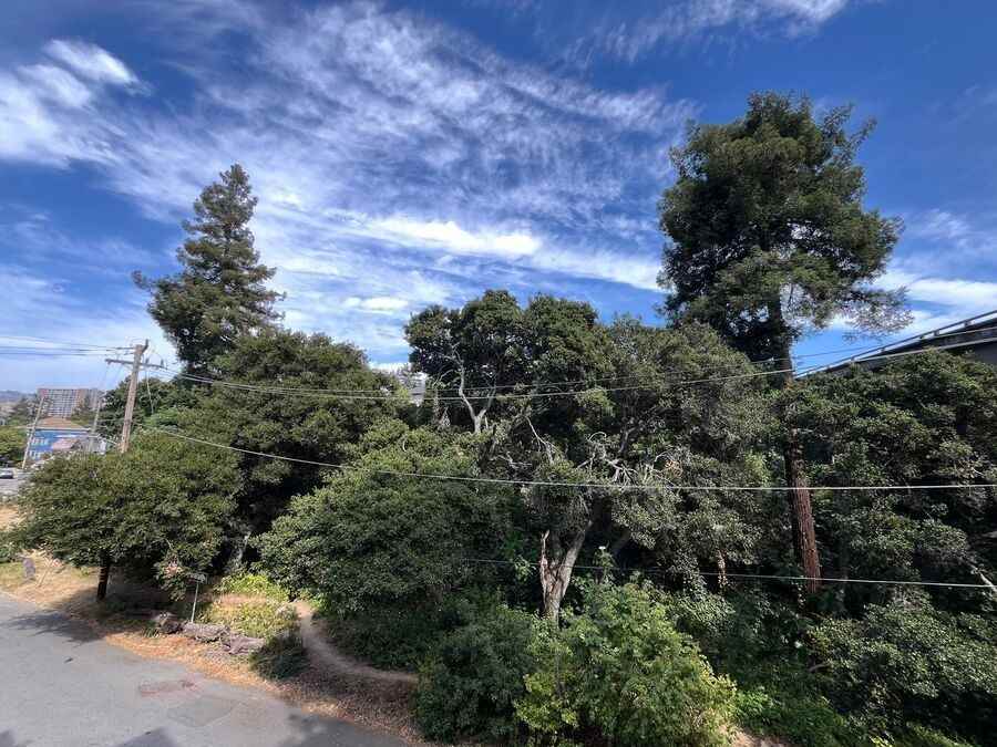 3465 Richmond Blvd #101 - Photo 7 of 17