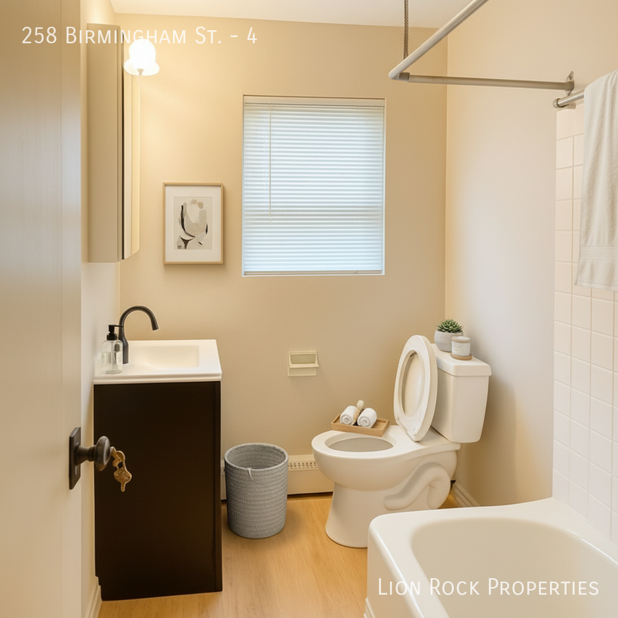 258 Birmingham St #4 - Photo 5 of 12