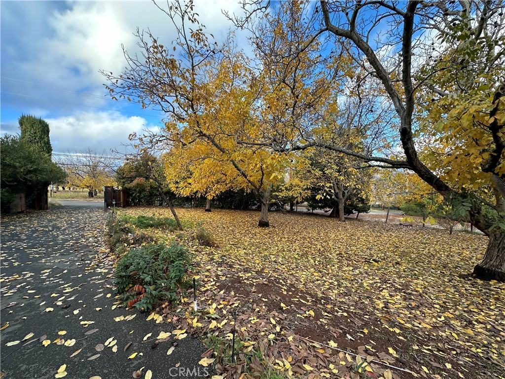 8260 Orchard Dr #8260 - Photo 4 of 23