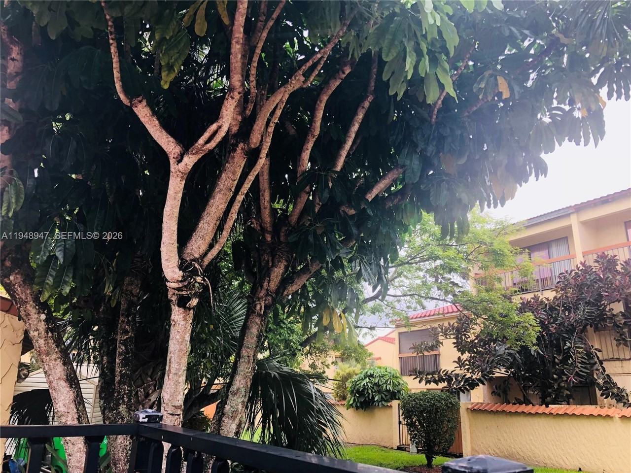 Springtree Dr #7795-7795 - Photo 7 of 45