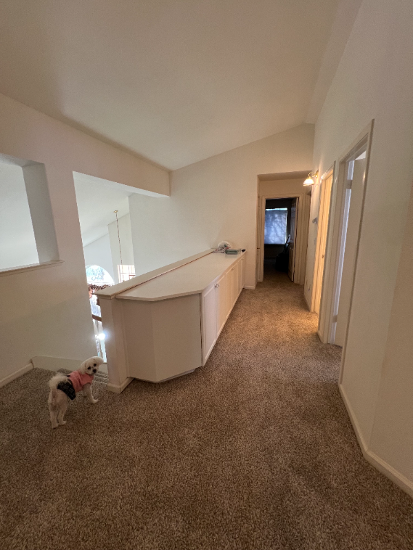 8725 Goldy Glen Way - Photo 5 of 9