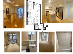 21 Carlton Street - Photo 1 of 1