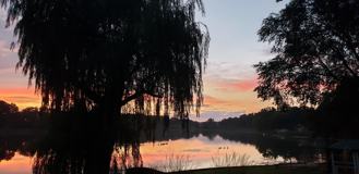 69886 Krontz Rd #NA - Photo 1 of 1