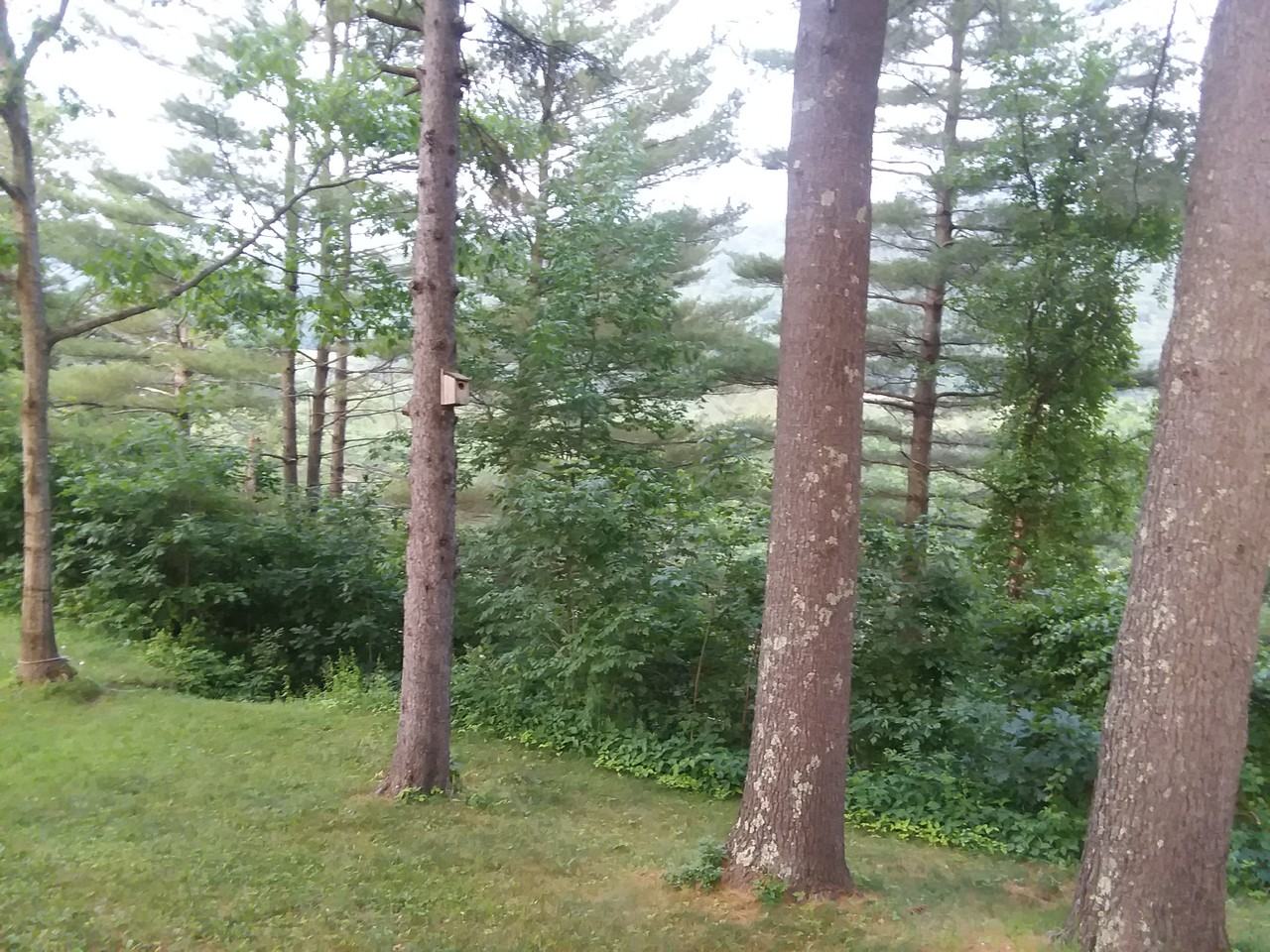 977 Daniel Webster Hwy #3 - Photo 5 of 5