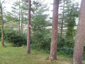977 Daniel Webster Hwy #3 - Photo 1 of 1