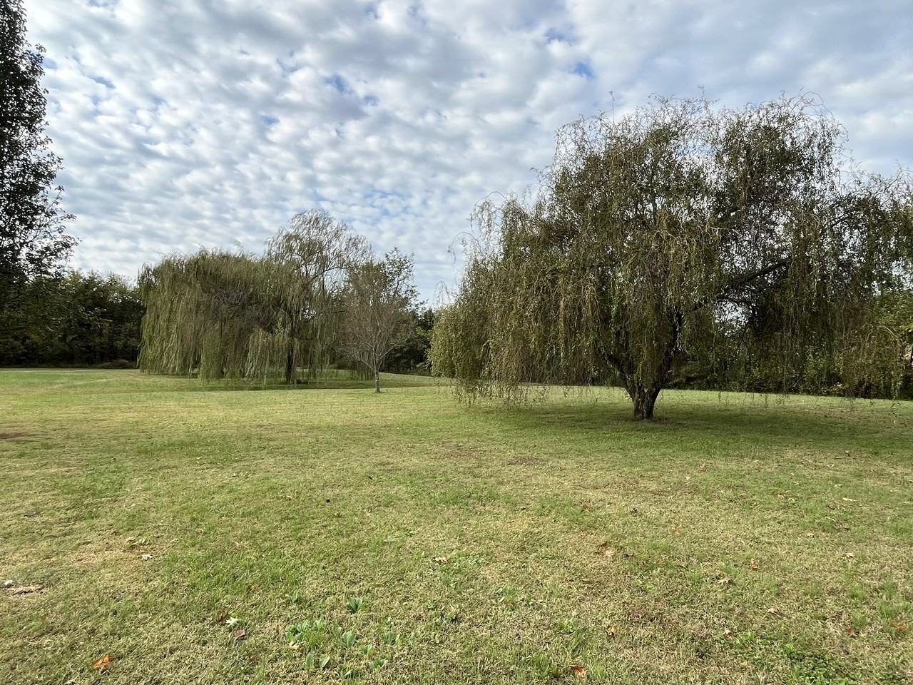 476 Bill Russell Rd #1 - Photo 4 of 4