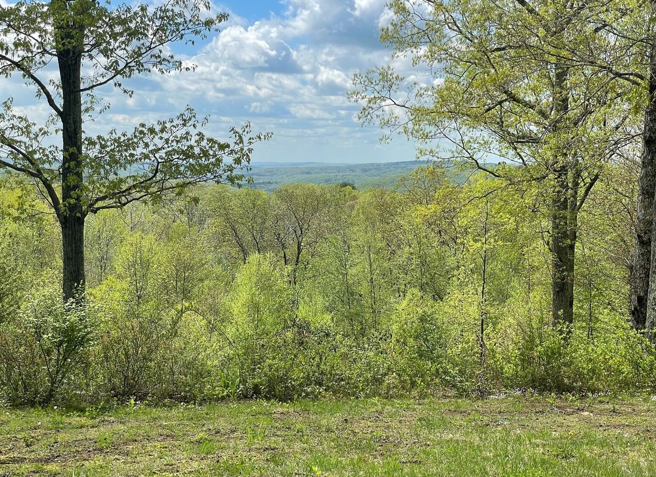 170 Rabbit Hill Rd - Photo 3 of 28