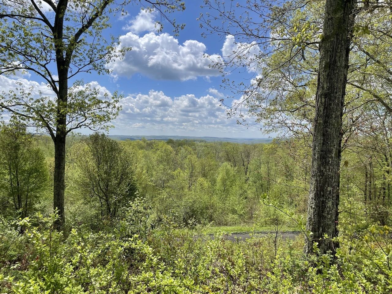 170 Rabbit Hill Rd - Photo 4 of 28