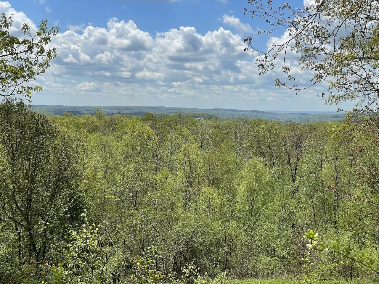 170 Rabbit Hill Rd - Photo 5 of 28